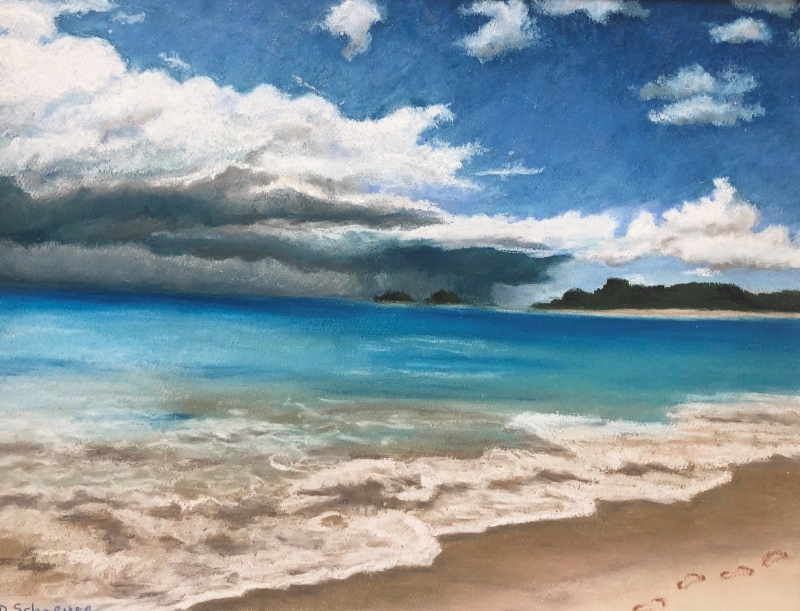 Rain Comes to Lanai by artist Denise Schneyer